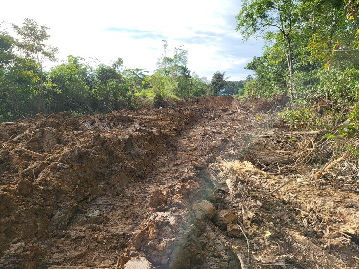 Pembukaan akses jalan yang dilakukan PT RJM untuk menunjang operasional pengambilan batubara di Kalis. Dok