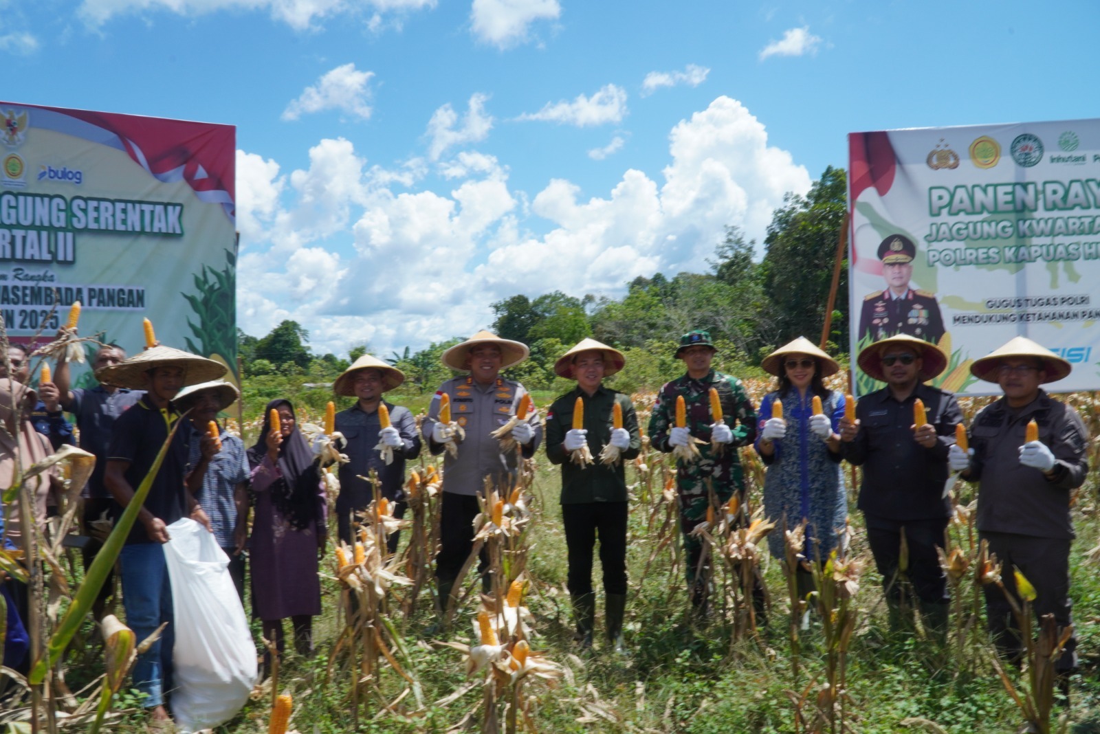 Kepolisian Resort Kapuas Hulu Polda Kalimantan Barat menggelar Panen Raya Jagung Serentak Kuartal II Tahun 2025 di lahan pertanian Desa Kedamin Darat Kecamatan Putussibau Selatan