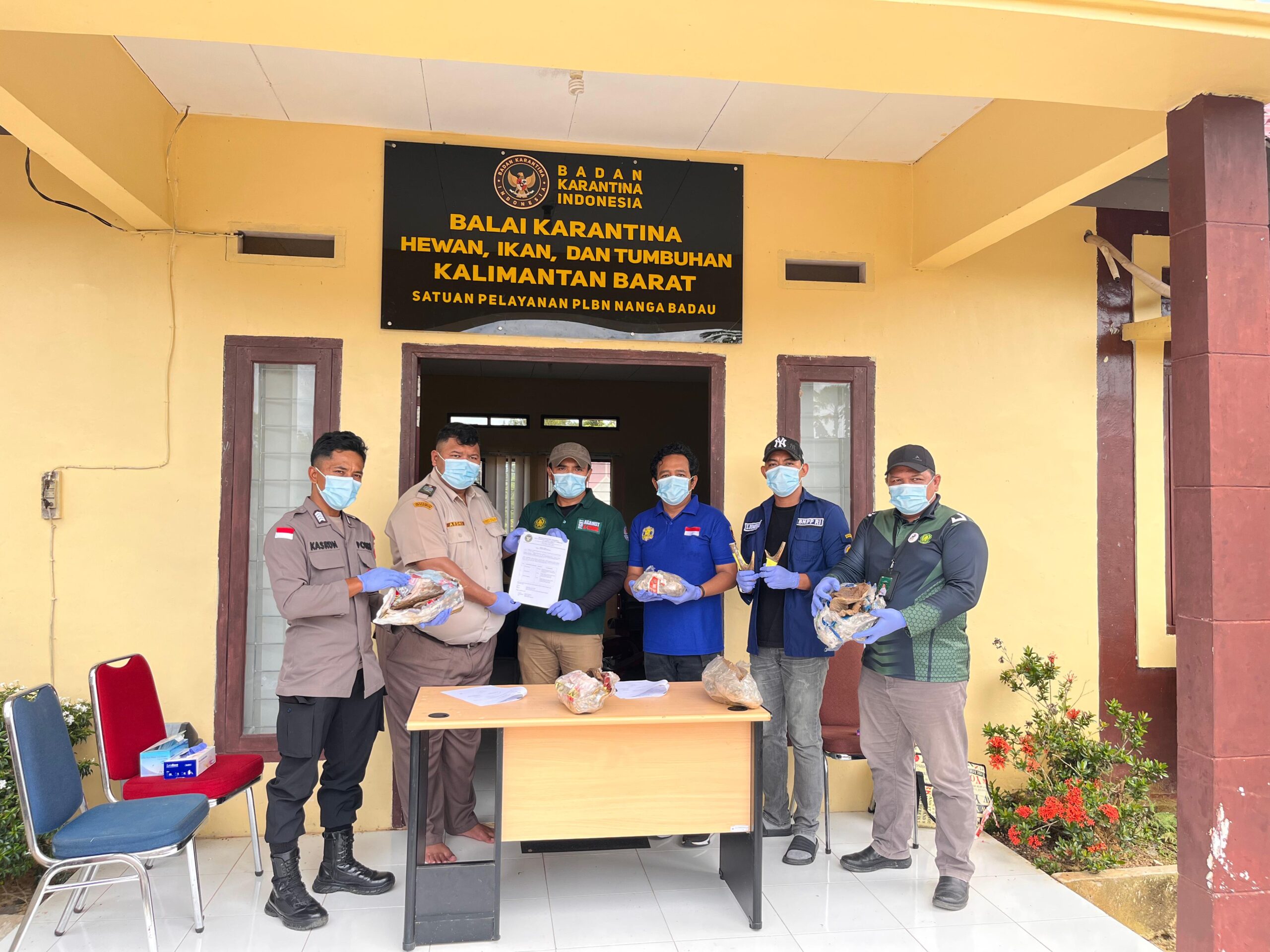 Karantina Kalimantan Barat melalui Satuan Pelayanan (Satpel) Pos Lintas Batas Negara (PLBN) Nanga Badau menyerahkan sejumlah media pembawa berupa produk hewan dan tumbuhan kepada Konservasi Sumber Daya Alam dan Ekosistem (KSDAE) Kalimantan Barat.