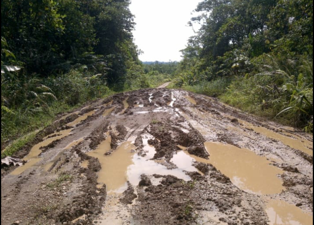 Kondisi jalan di Desa Nanga Dua Kecamatan Bunut Hulu yang rusak parah