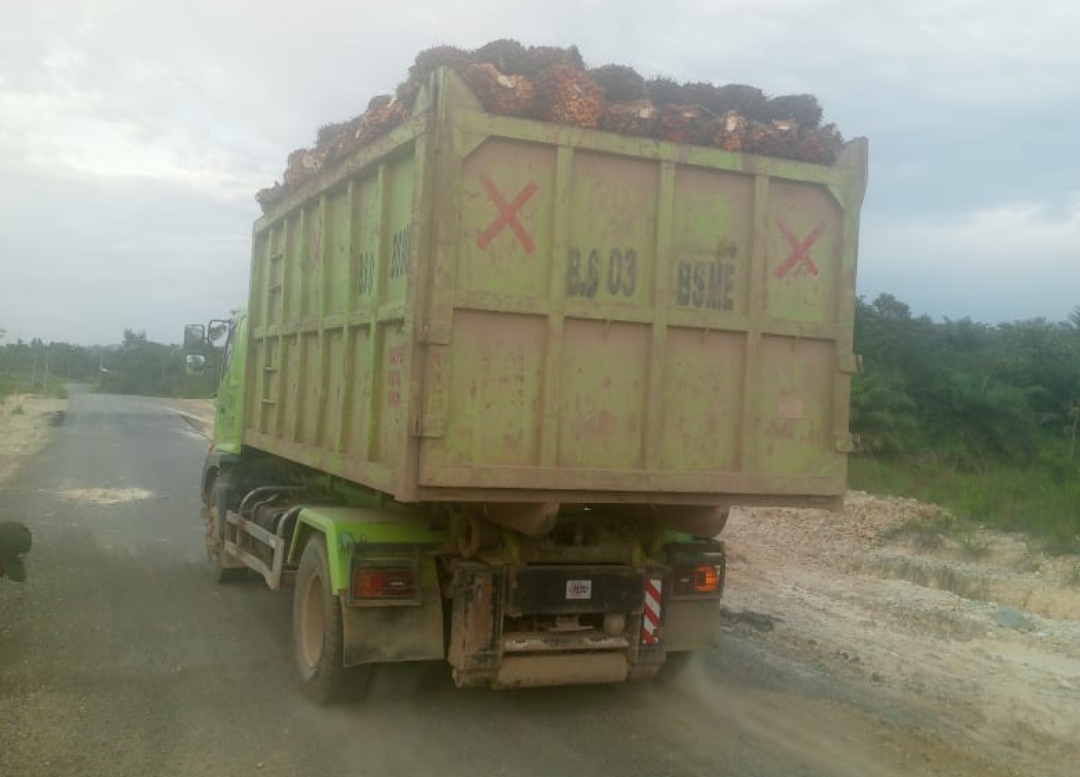 Truk pengangkut sawit dipicu menjadi penyebab kerusakan jalan Badau - Empanang