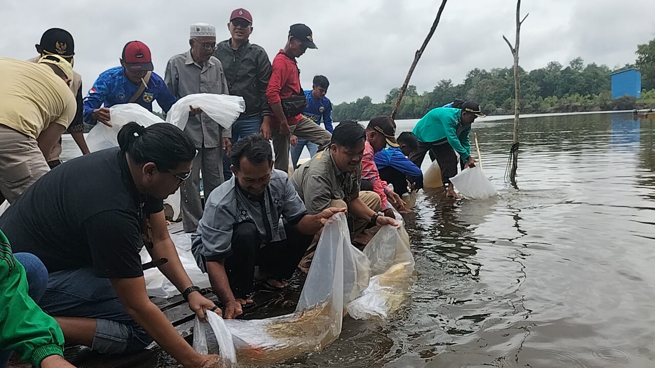 Pelepasan indukan Ikan Arwana di Desa Empangau Bilir oleh PT Arwana Lestari Putussibau 