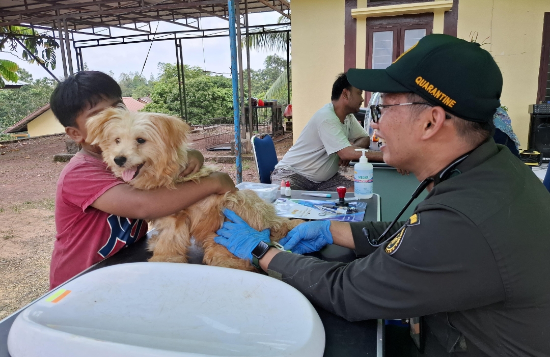 Vaksinasi Hewan Rabies dilakukan BKHIT Kalbar bersama Dinas Pertanian dan Pangan Kapuas Hulu di daerah perbatasan 